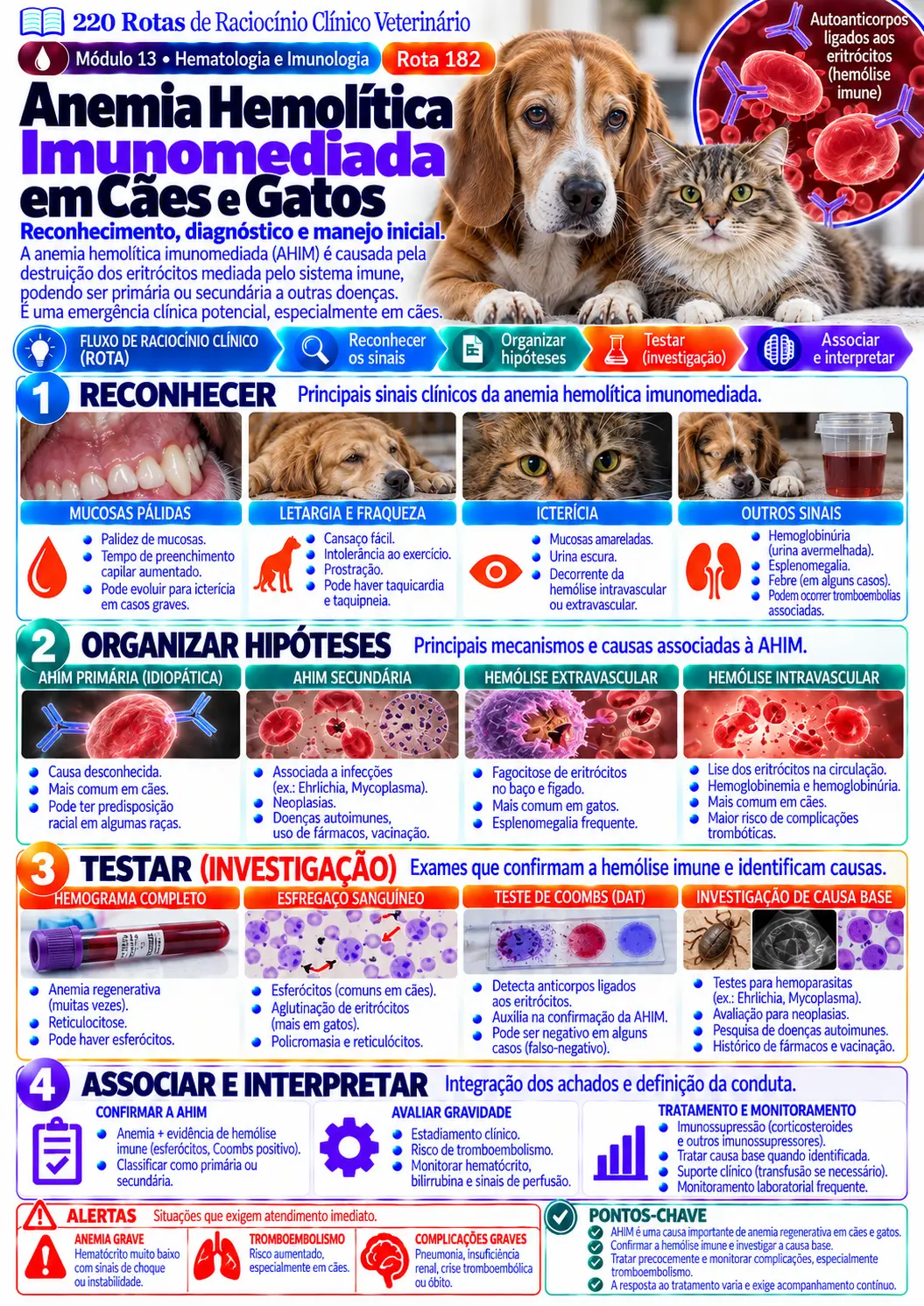 Anemia hemolítica imunomediada — Hematologia e Imunologia