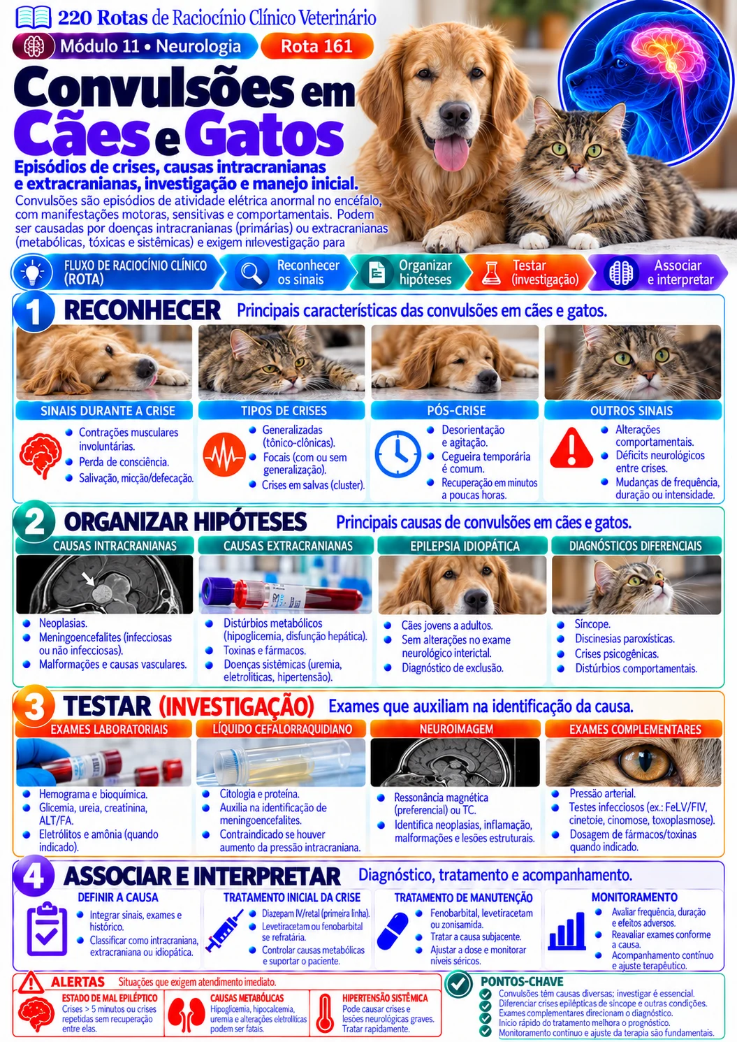 Convulsões em cães e gatos — Neurologia