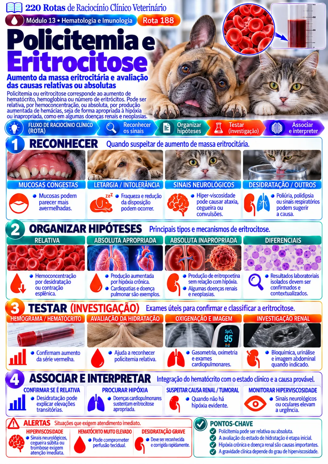 Policitemia e eritrocitose — Hematologia e Imunologia