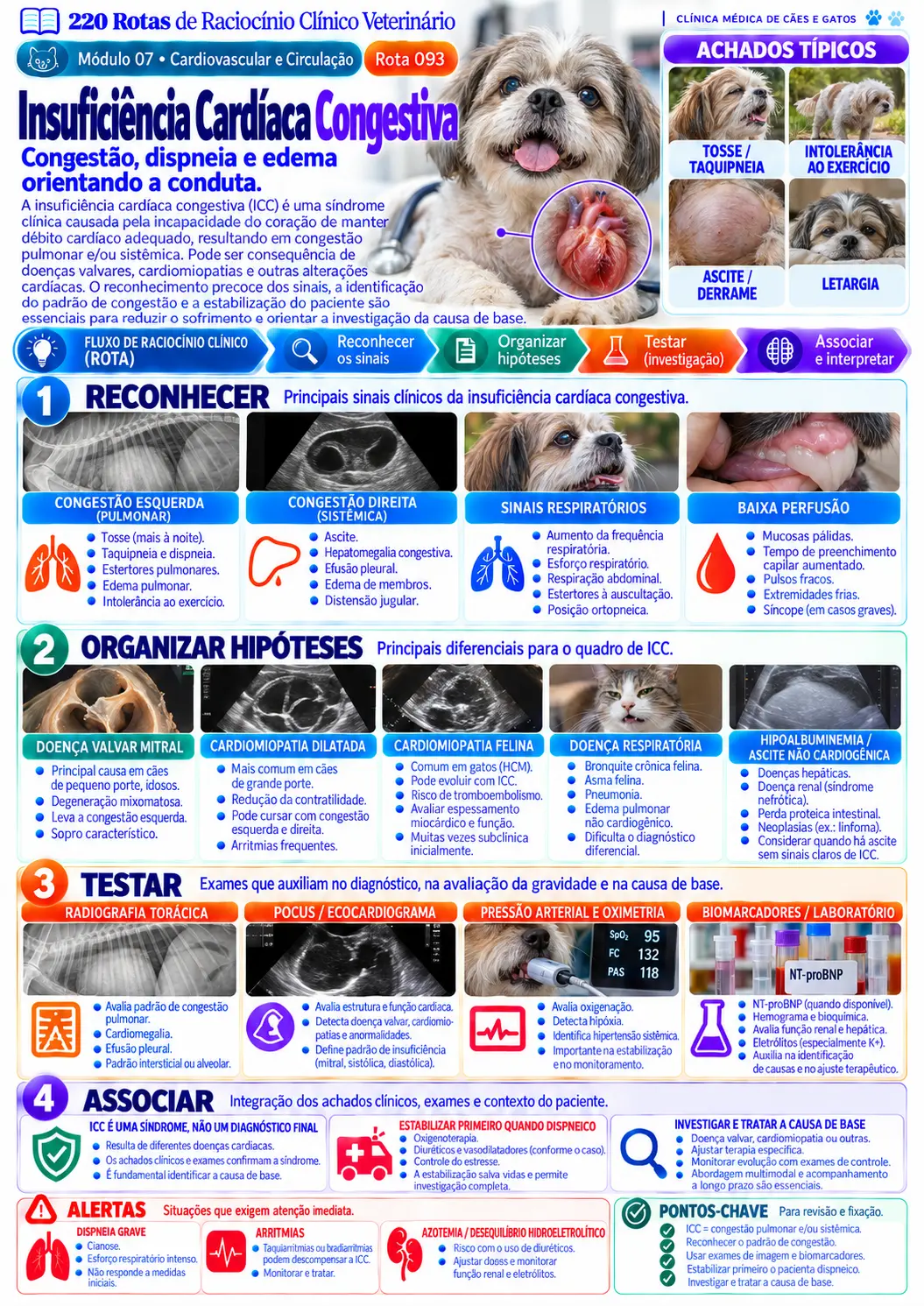 Insuficiência cardíaca congestiva — Cardiovascular
